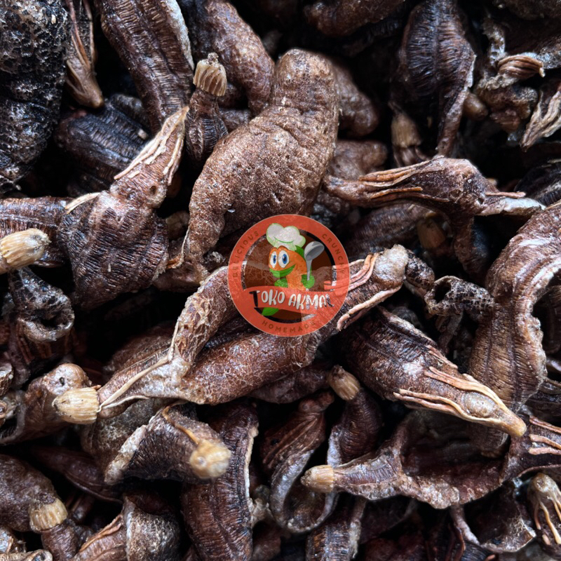 

Kerupuk Teripang / Haisom