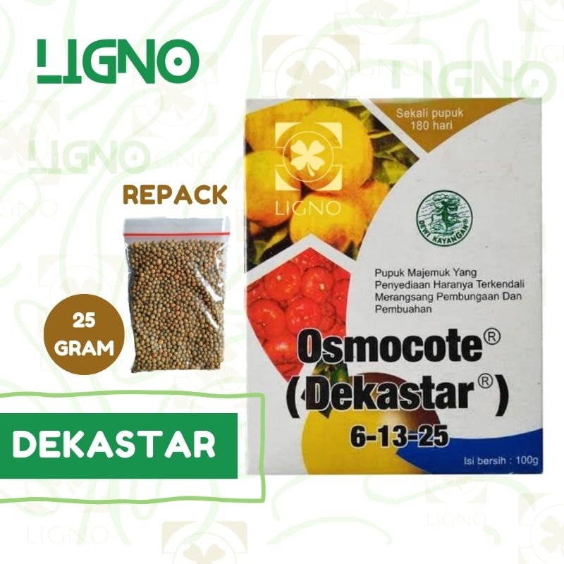 PUPUK DEKASTAR (25 gram) Osmocote 6-13-25