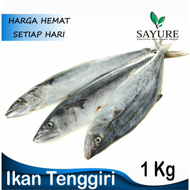 

IKAN TENGGIRI FRESH 1KG