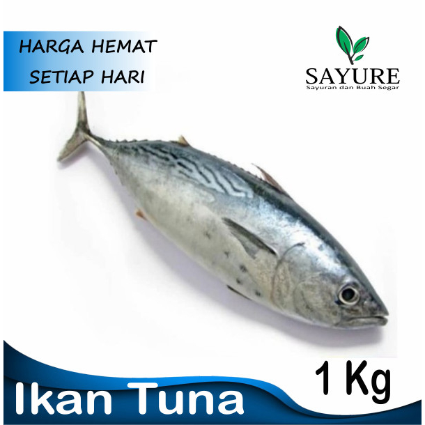 

IKAN TUNA FRESH 1 KG