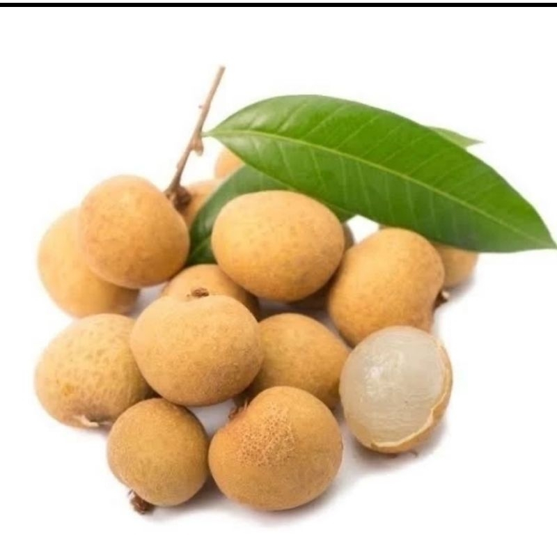 

Buah Kelengkeng Lengkeng