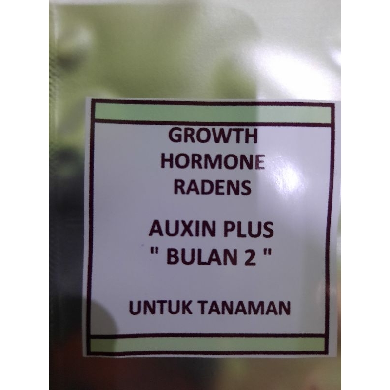 Auxin "Bulan 2" IBA - NAA - IAA Plus Untuk Tanaman