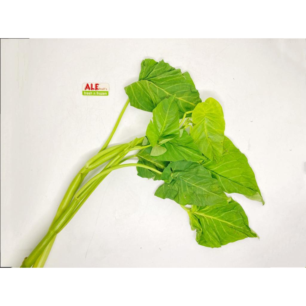 

Sayur kangkung super jumbo, sayur kangkung super fresh, sayur kangkung