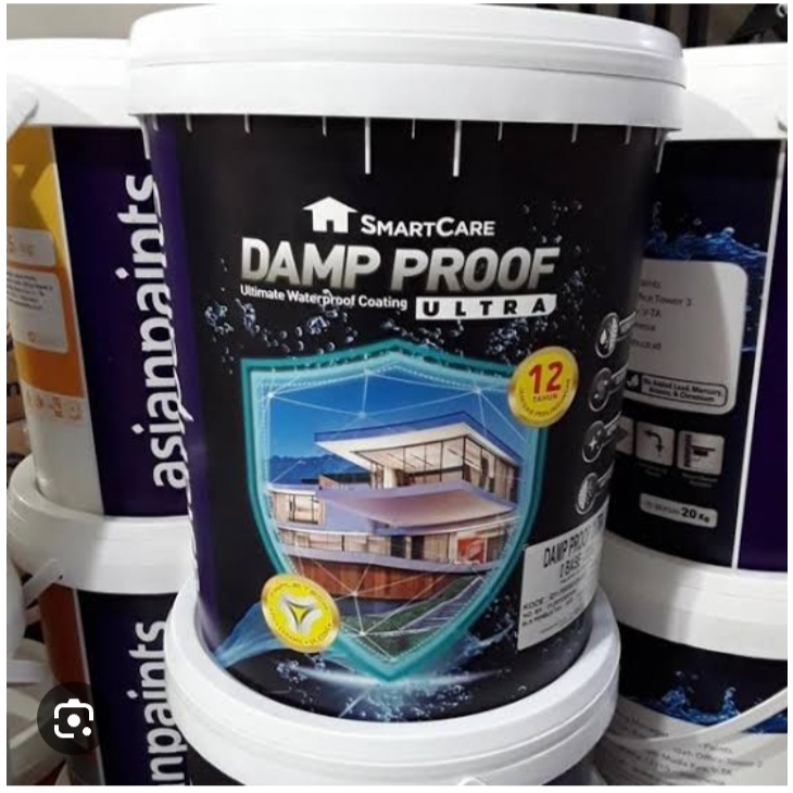 DAMP PROOF asian paint