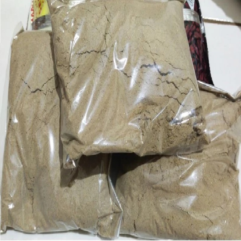 

Cipera Asli Dari Medan Tanah Karo