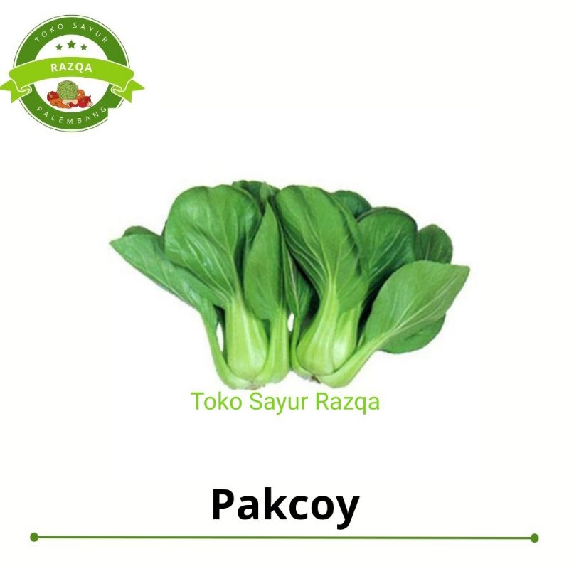 

Pakcoy - Toko Sayur Razqa Palembang