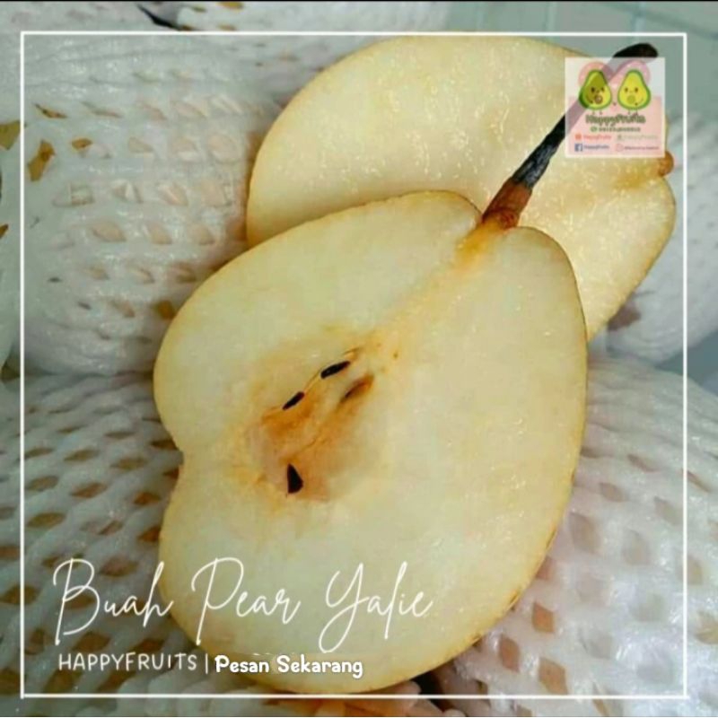 

HAPPYFRUITS BUAH PEAR YALIE 1KG