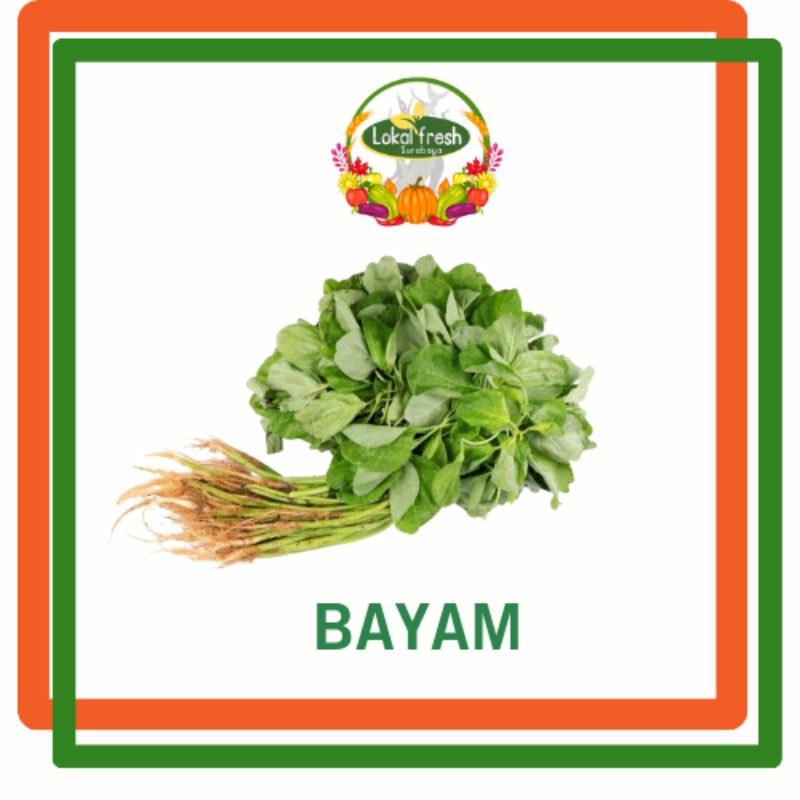 

❤️ LOKAL FRESH ❤️ BAYAM 1 IKAT BESAR | TERMURAH