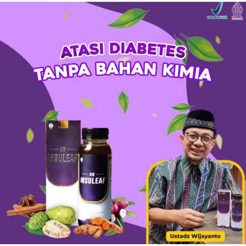 

Bio Insuleaf Obat Herbal Diabetes