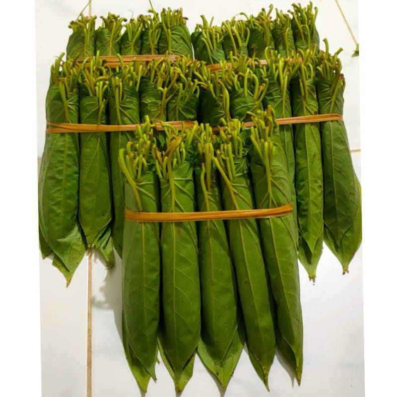 

daun sirih medan