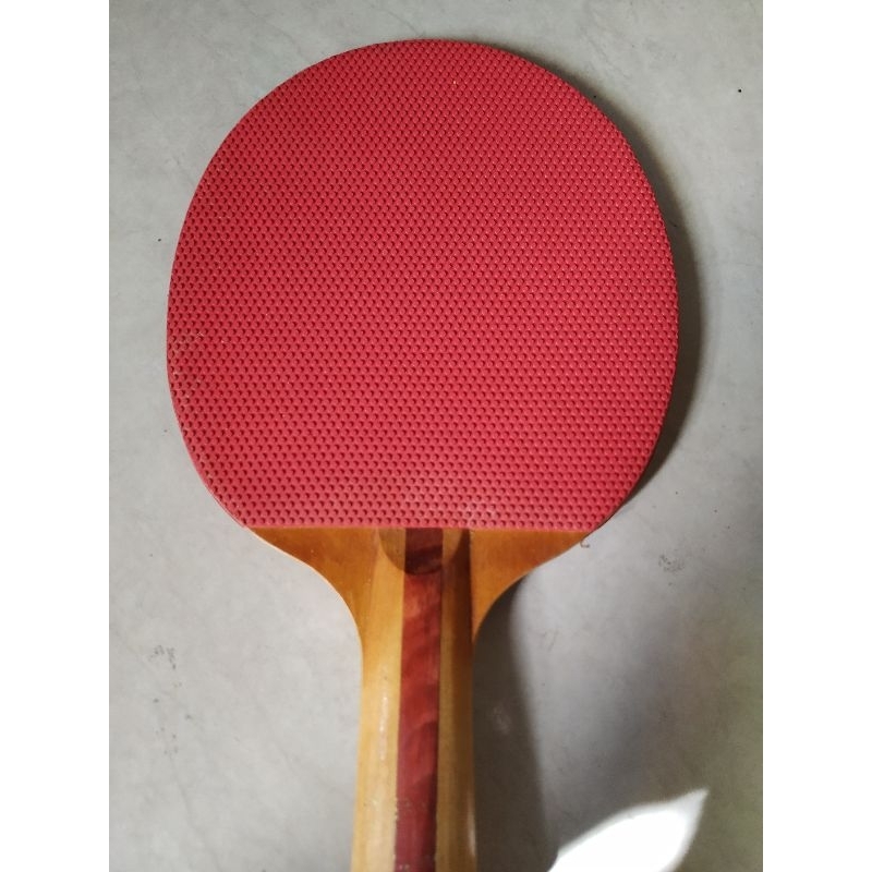 karet bintik bertahan