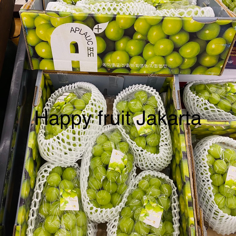 

Buah anggur Shine muscat Korea original Box |anggur muscat manis 4,2kg