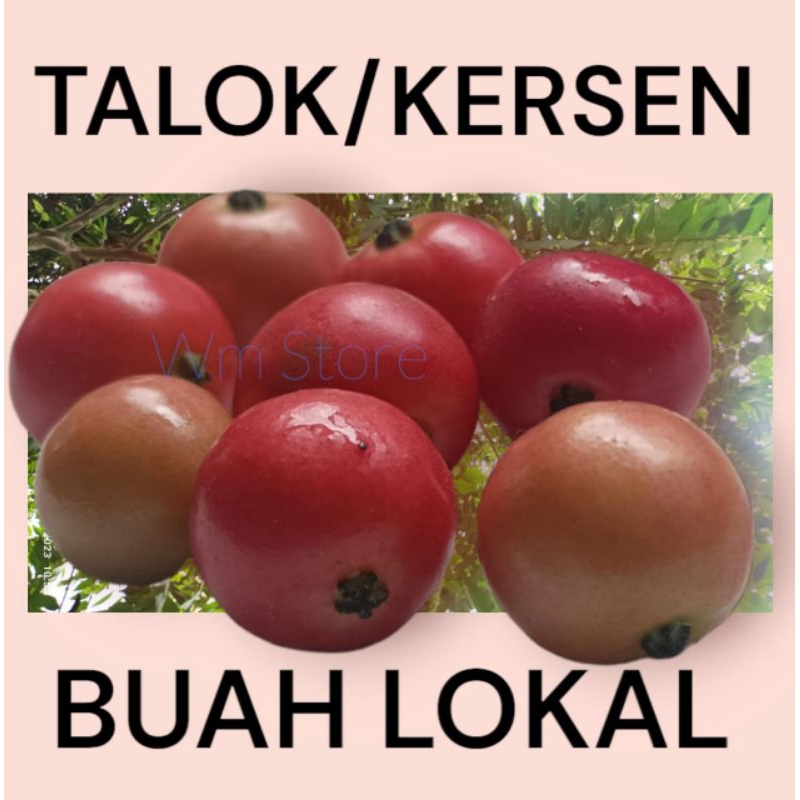 

TALOK /KERSEN