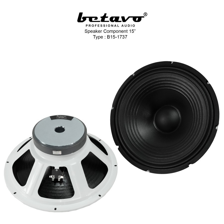 Betavo Audio Speaker Component 15 inch B15 1737 Original Betavo