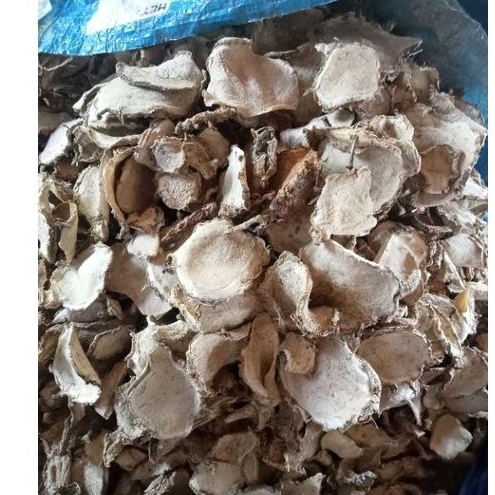 

kunyit putih kering 1kg
