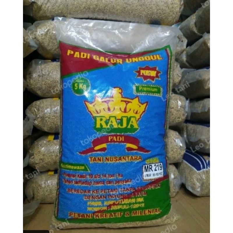BENIH PADI UNGGUL MR 219 5 KG