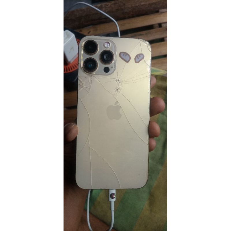 iphone 13 pro max hdc