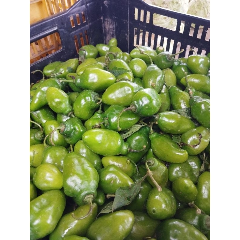 

cabai gendot 1kg
