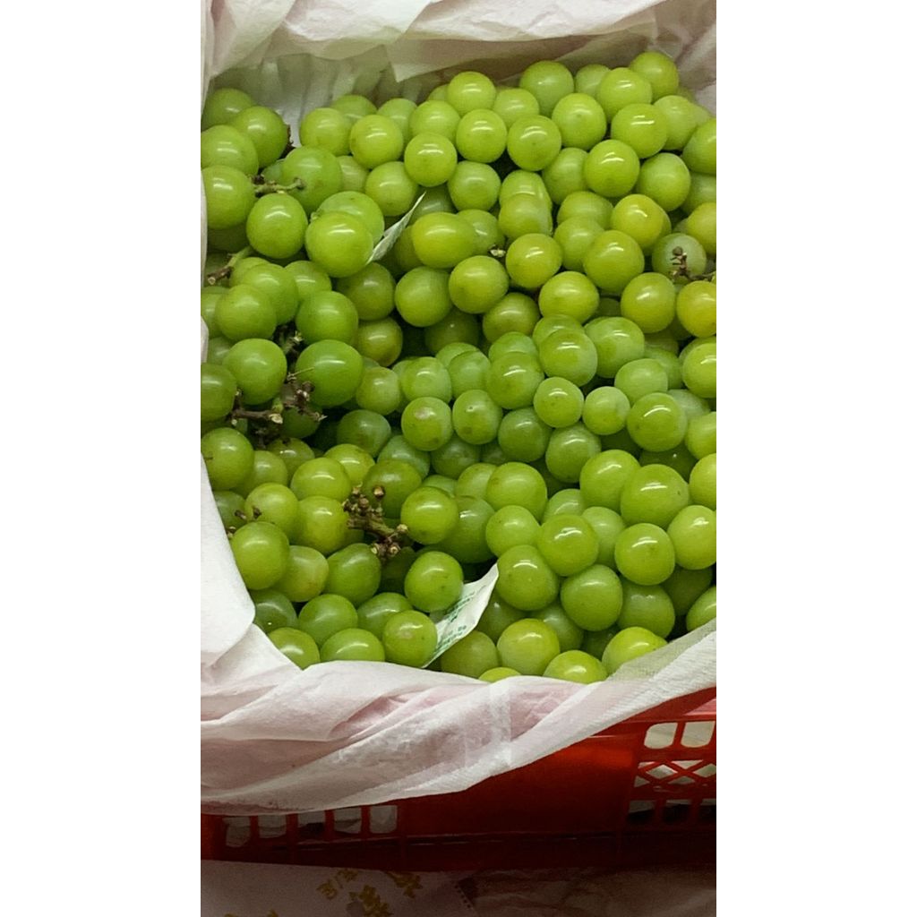 Anggur Shine Muscat 1 Keranjang/Box