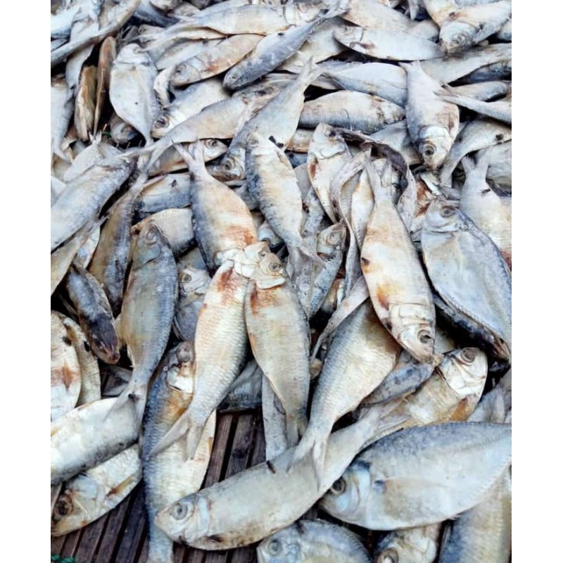 

ikan asin tembang ikan tembang kualitas super murah 1.kg