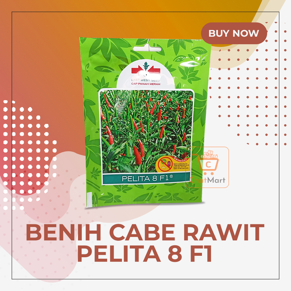 Benih / Bibit Cabe Rawit Pelita F1 | Isi 350 Butir