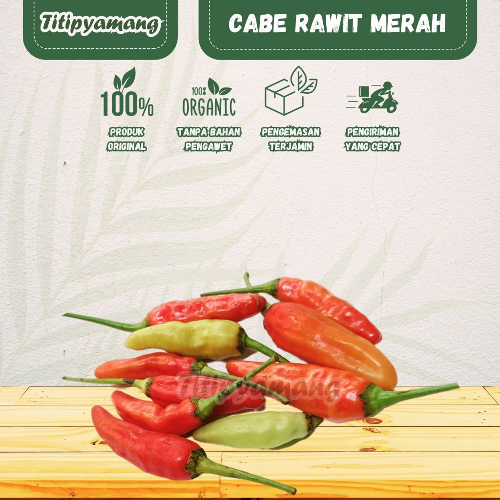 

Cabe Rawit Merah [ ORI ] | Cabe Rawit Merah Petik | Cengek Domba