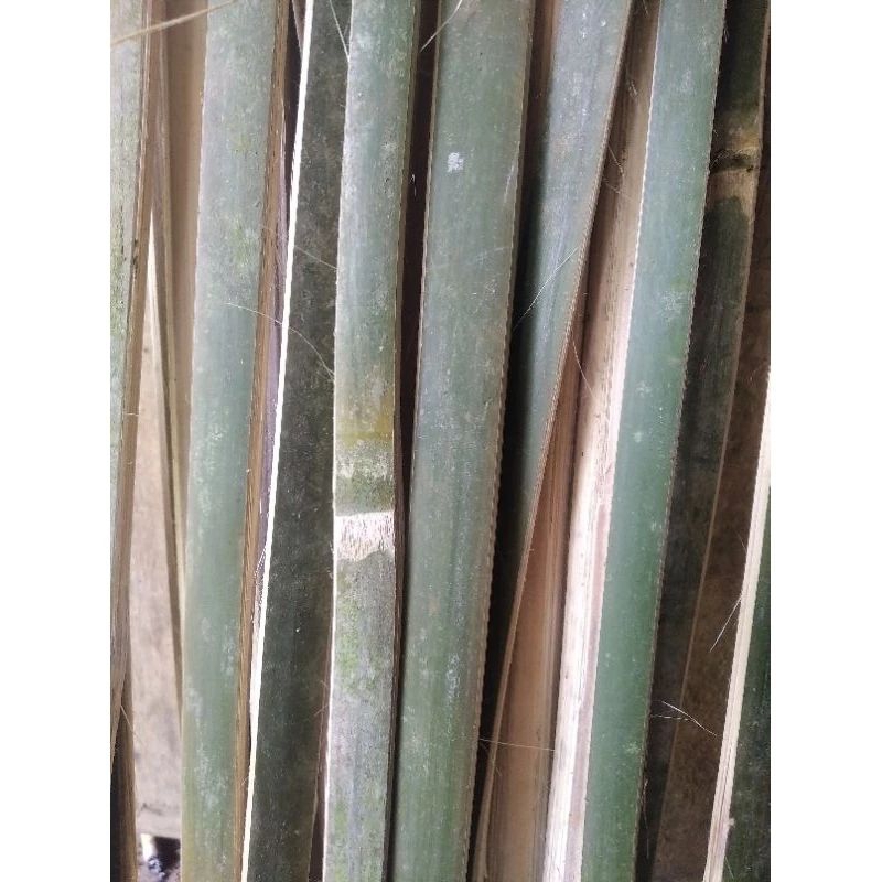 Bambu bilah / bambu ajir tanaman / penyangga tanaman 100cm X 3 cm