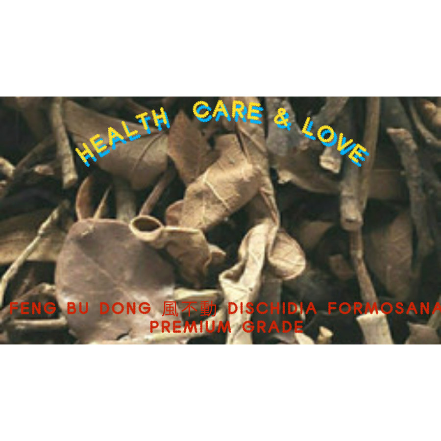 

Feng Bu Dong 風不動 Dischidia Formosana Premium Grade 50 Gram