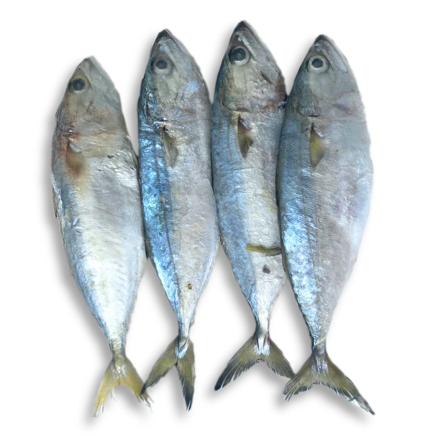 

Ikan Kembung Banjar 500gr