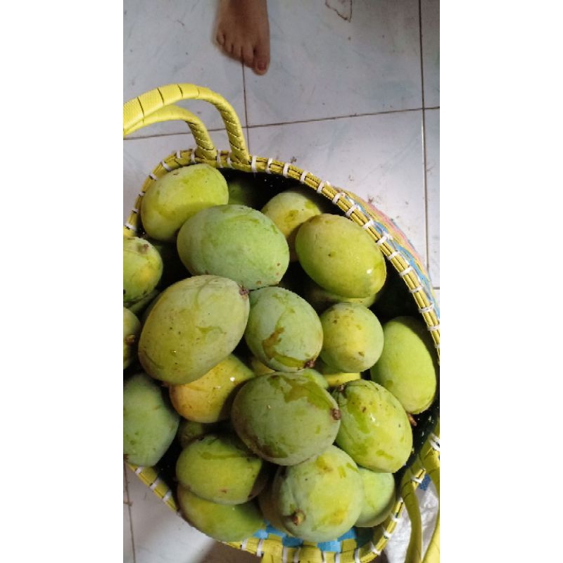 

kueni manis segar fresh mateng