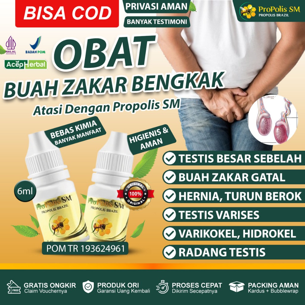 Obat Buah Zakar Bengkak Testis Besar Sebelah Buah Zakar Gatal Hernia Turun Berok Testis Varises Vari