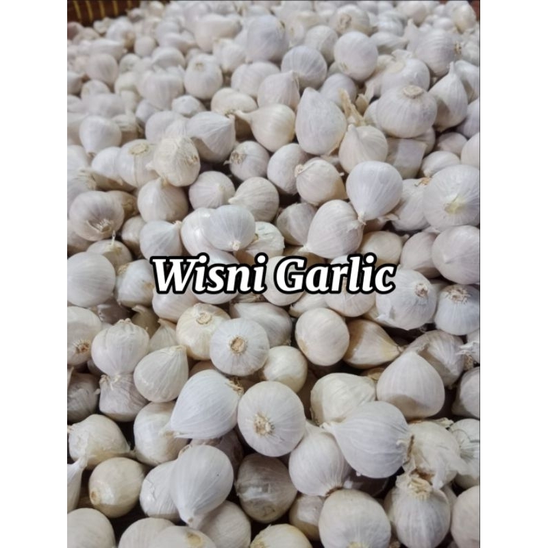 

Bawang Putih Tunggal Lanang Kecil Sedang Besar 250GR