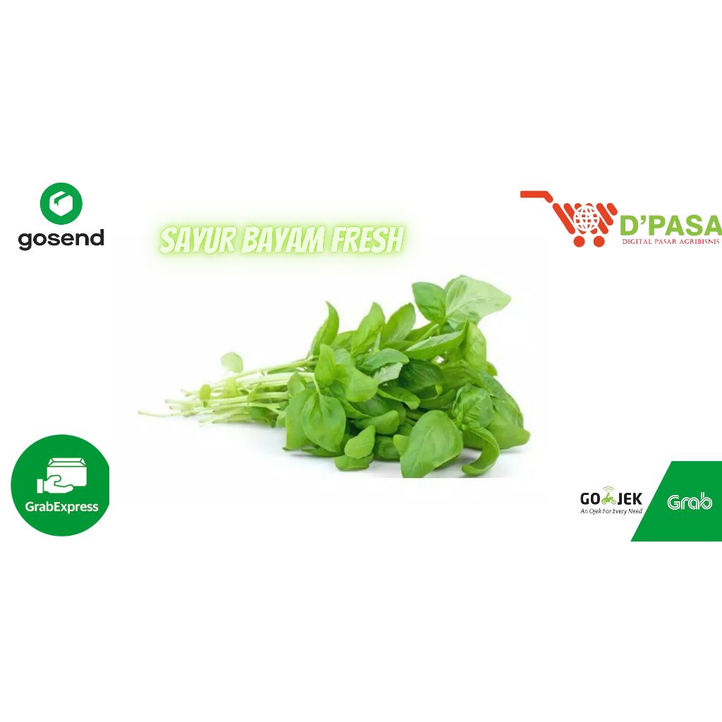 

KIRIM INSTAN sayuran bayam bersih murah fresh 1ikat