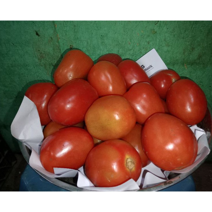 

TOMAT MERAH FRESH PER 1 KG