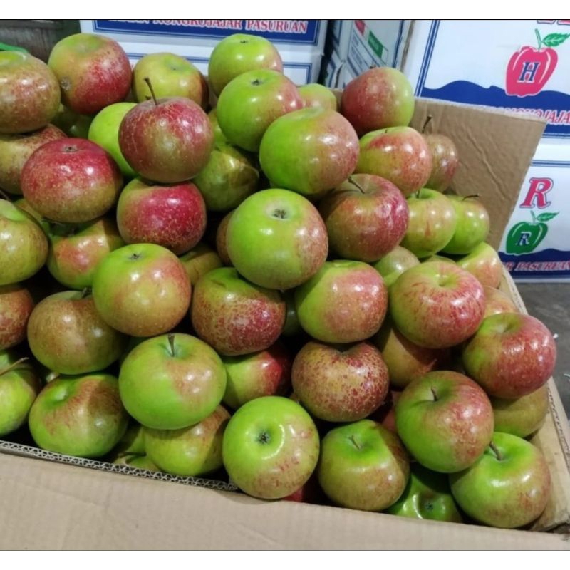 

APEL MALANG HIJAU - 1 KG