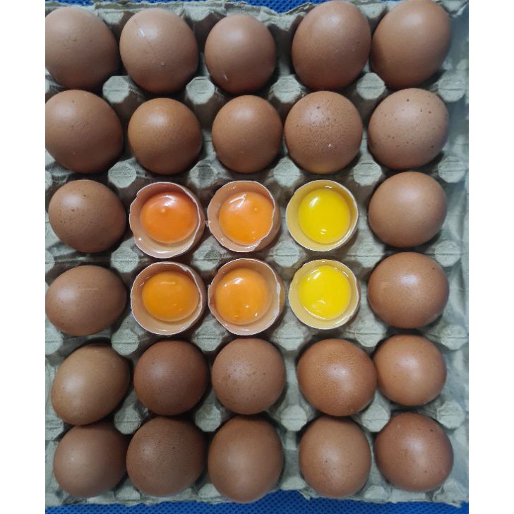 

PXJB1868 [KODE 77] TELUR AYAM OMEGA 3 FRESH PREMIUM PER KG