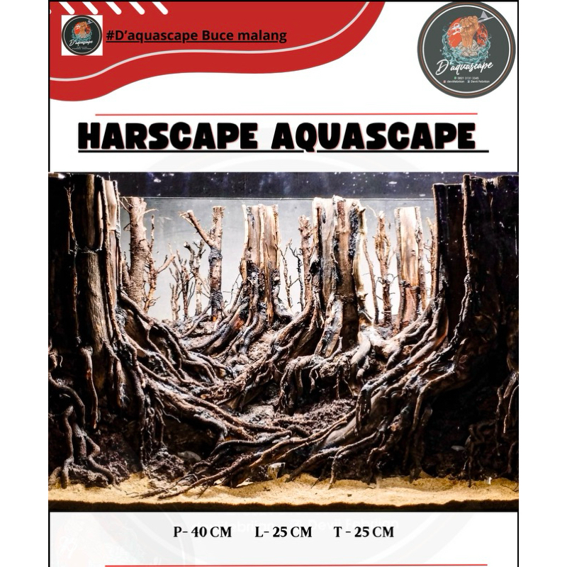 Harscape Aquascape kontes Tema Hutan