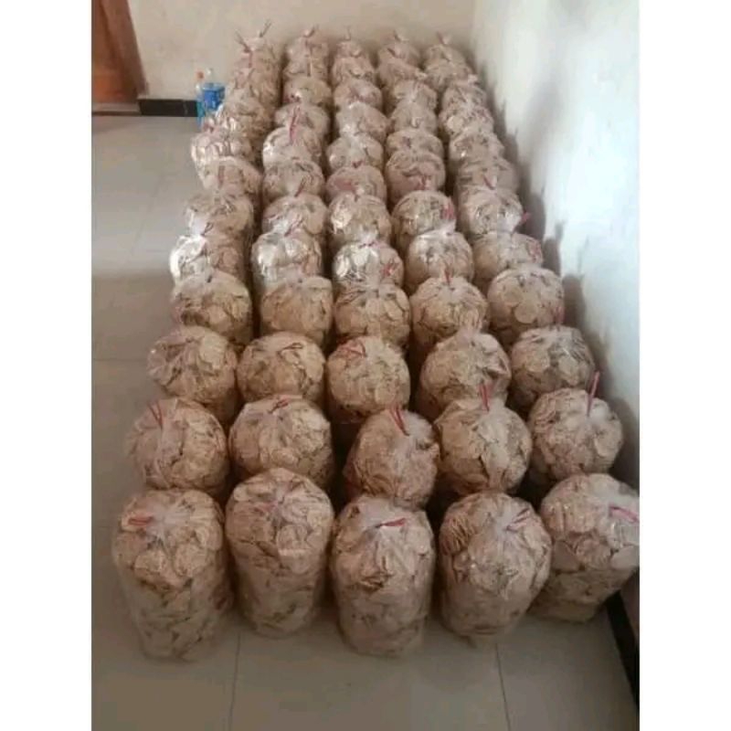 

keripik tempe sagu