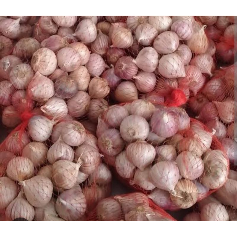 

Bawang Putih Tunggal 100 gr Sayur Segar Palembang