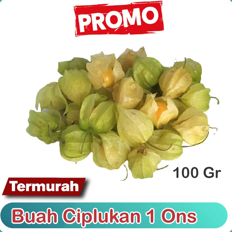 

Kode YAK783 jual ciplukan/cecendet/golden berry 100 gram langsung dari kebun