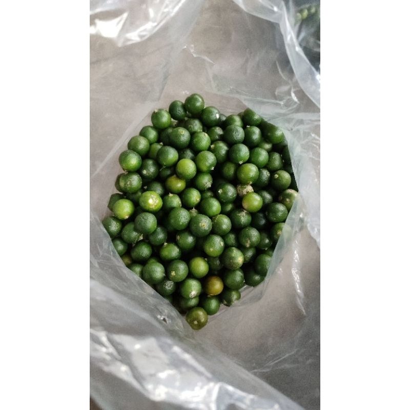

jeruk kasturi ( sonkit ) fresh petik dari kebun