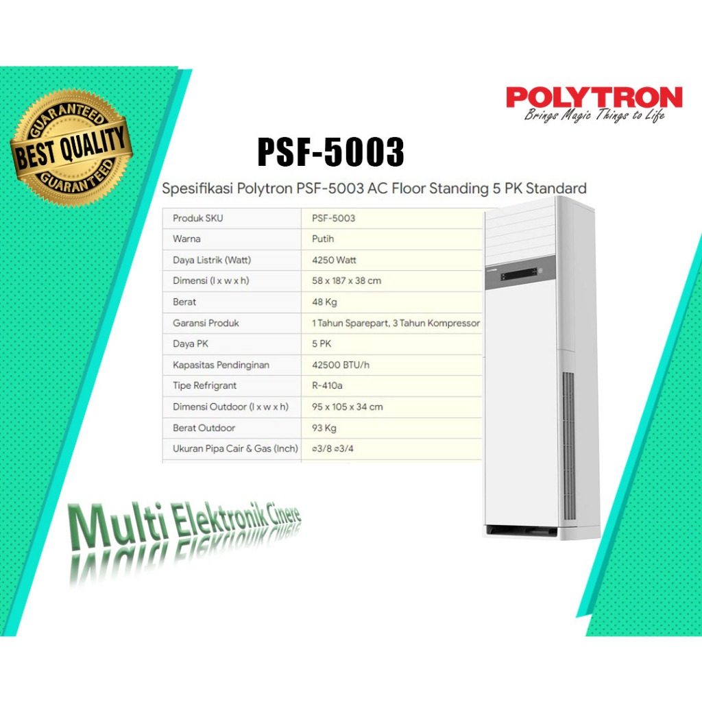 AC Floor Standing Polytron 5 PK - PSF 5032