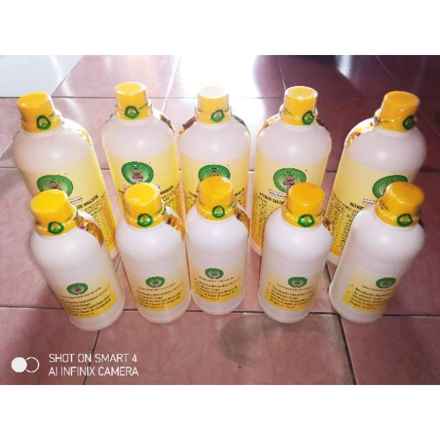 Nutrisi Tauge Pupuk Toge Sumo Paket A dan B Obat Tauge Toge