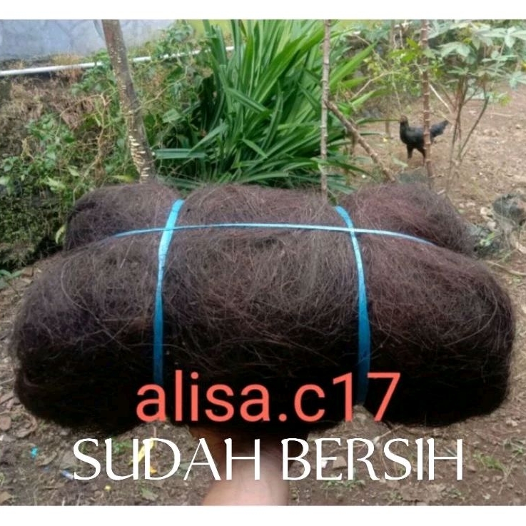 alisa.c17 Ijuk Aren Halus 500 Gram Injuk Saringan Air Media Tanaman Ijuk Filter Air Kolam Aquarium A