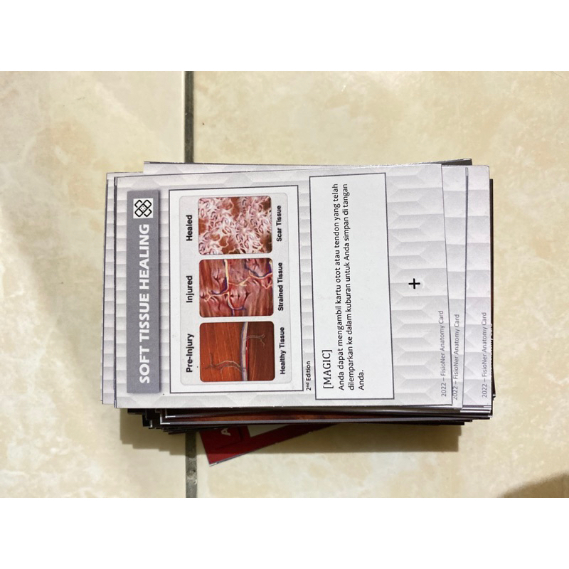 KARTU ANATOMI TUBUH MANUSIA