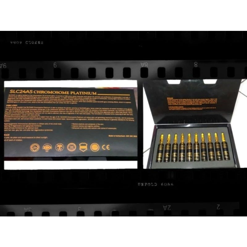 chromosome slc24A5 platinum