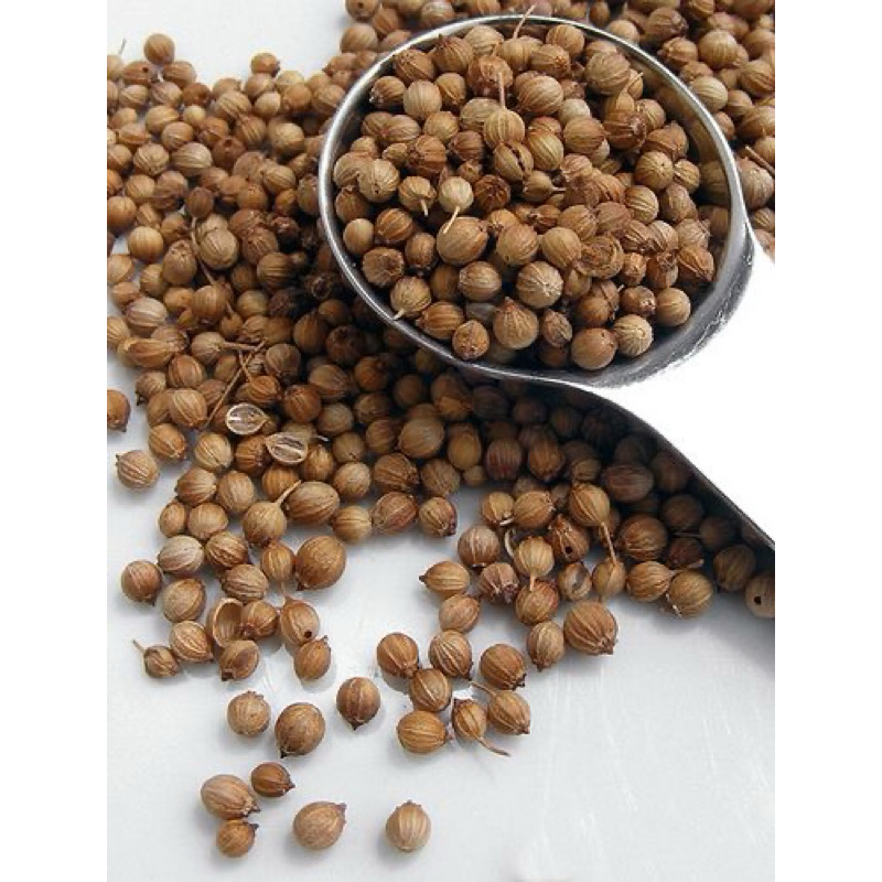 

KETUMBAR / CORIANDER (REMPAH) 5GR