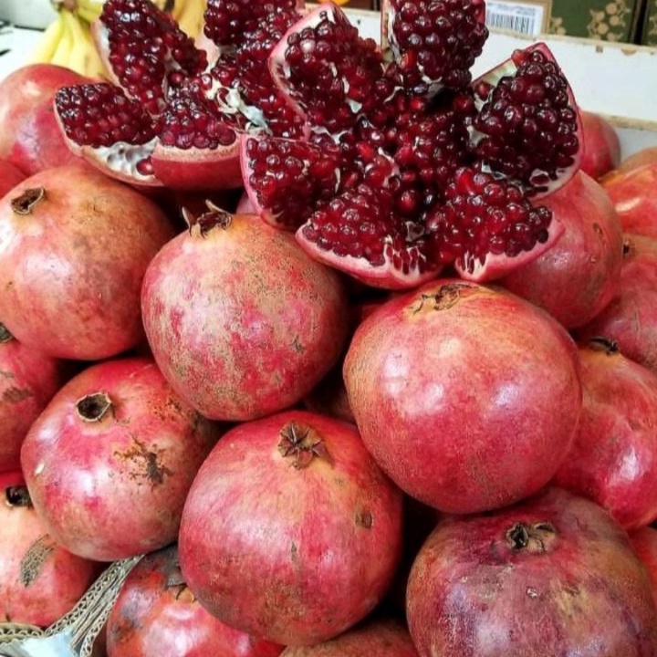 

BSSY5850 Terlaris Delima MERAH 1 BUTIR