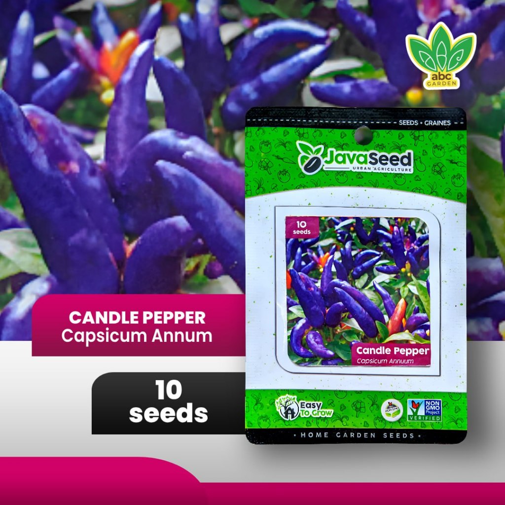 [10 seeds] Benih Cabai Hias Ungu Cabe Purple Candle Pepper