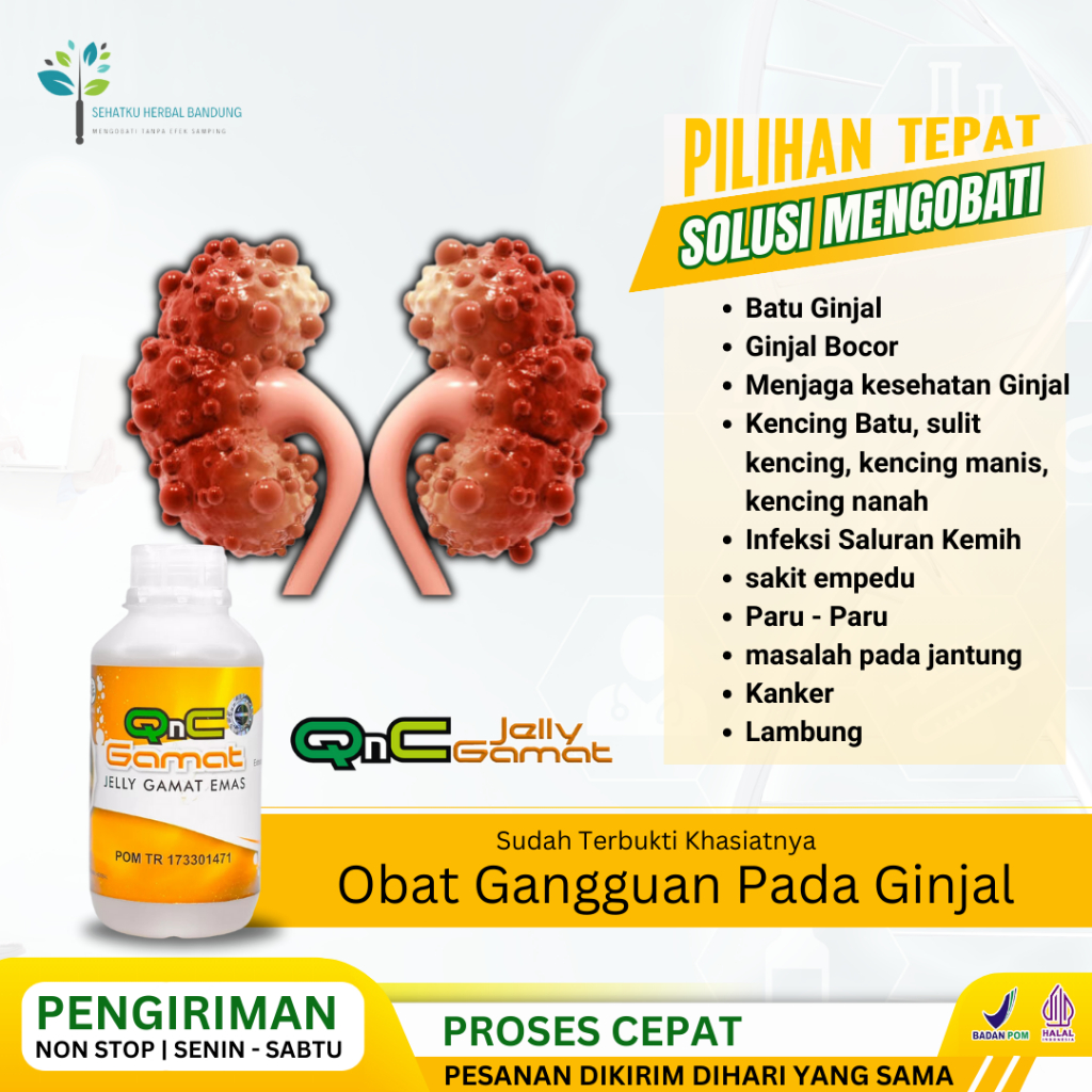 Obat Ginjal Bocor Sindrom Nefroti, Obat Batu Ginjal, Penghilang Sakit Batu Ginjal, Ginjal Bocor Pada